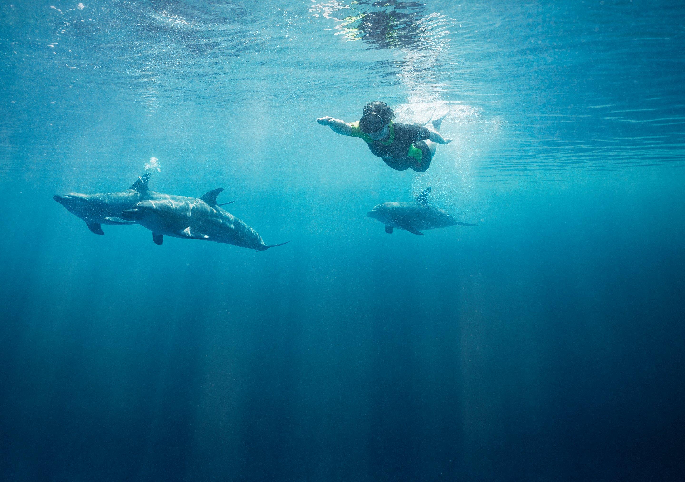 Dolphin Bay